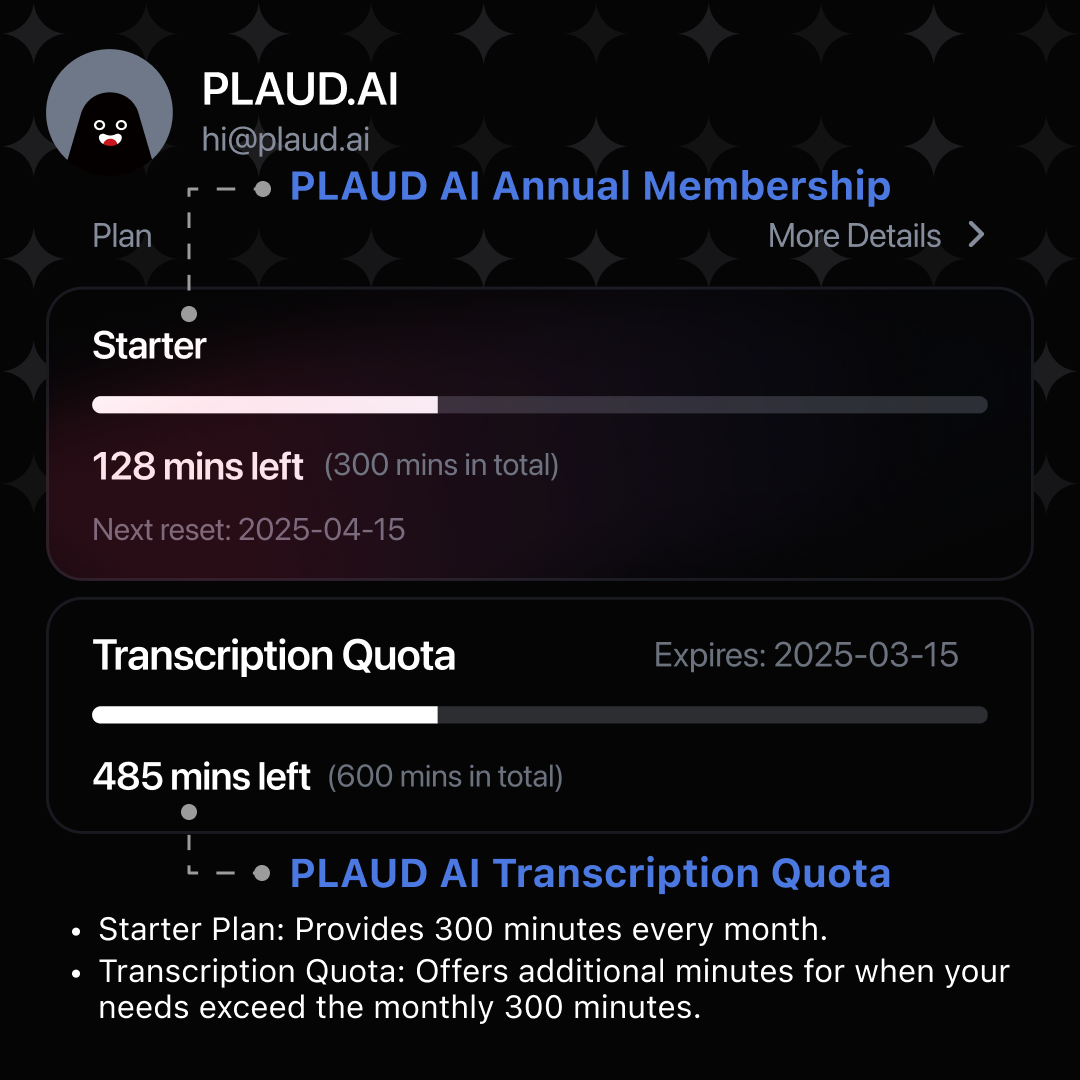 PLAUD AI Transcription Quota (600 mins)
